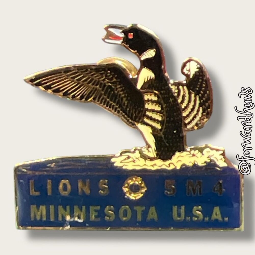 Bundle Sale 3 for $15 | Lions 5M4 MINNESOTA USA Pin